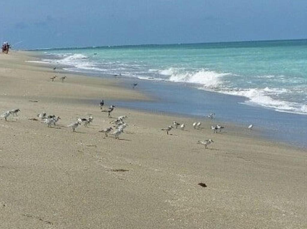 Excellent Beach Front Community, Golf Course, Tennis, Sunny Weather Year Round! Fort Pierce Luaran gambar